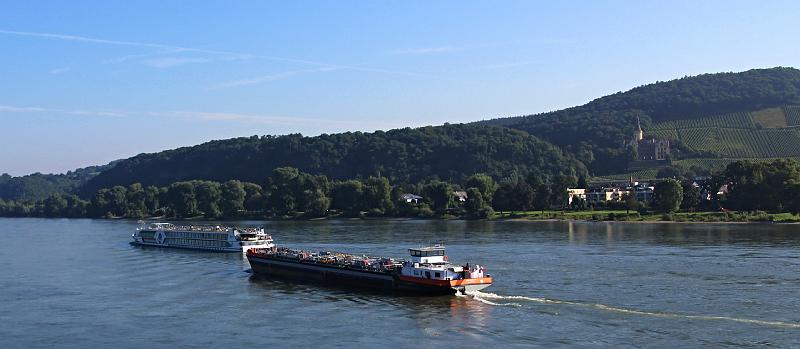 De Romantische Rijn, dag 4, 7-8-2016 (108).JPG